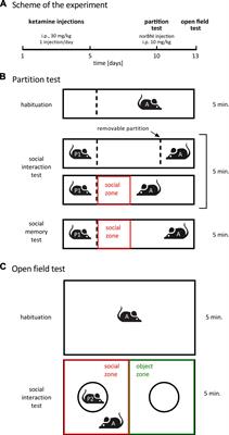 C57BL/6N mice show a sub-strain specific resistance to the psychotomimetic effects of ketamine